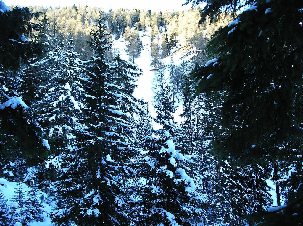 Hotel Edelweiss Malles Venosta Pokoj fotografie